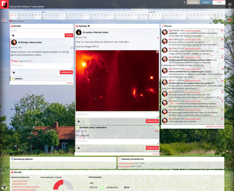 The home view for the intranet.